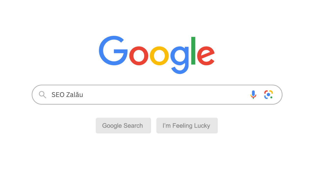 cautare-google-SEO-Zalau